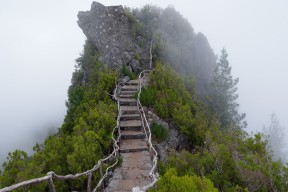 世界马拉松赛事志愿者培训内容与教材更新，2021年马拉松志愿者